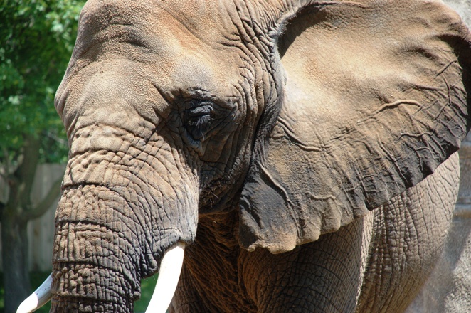 Photography by Schanina for DesignCrowd (Community Contests) | Design #8995011