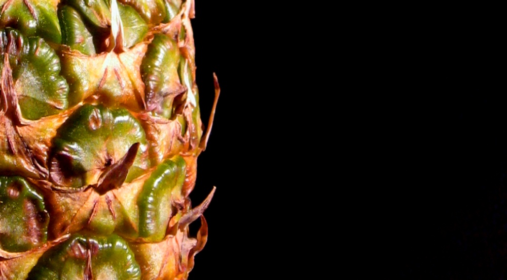 Photographie par allboutme pour DesignCrowd (Community Contests) | Design #8994993