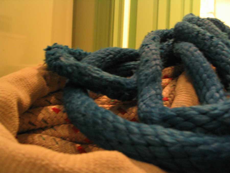 Photography by SphiPony for DesignCrowd (Community Contests) | Design #8995432