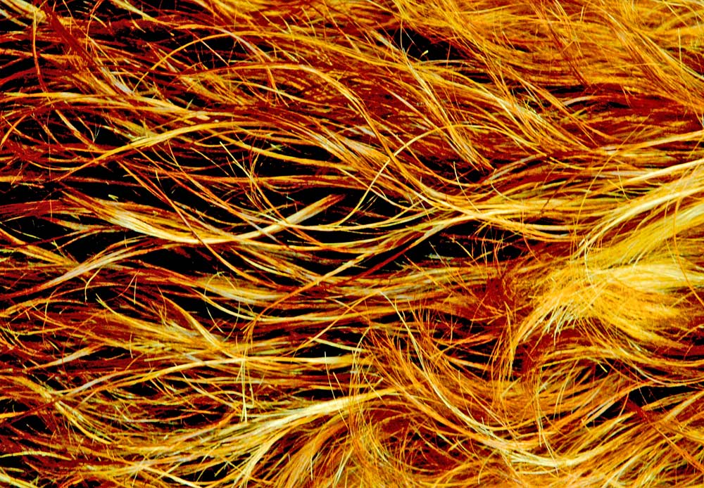 Photography by Lmorrow57 for DesignCrowd (Community Contests) | Design #8996276