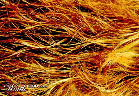 Photography by Lmorrow57