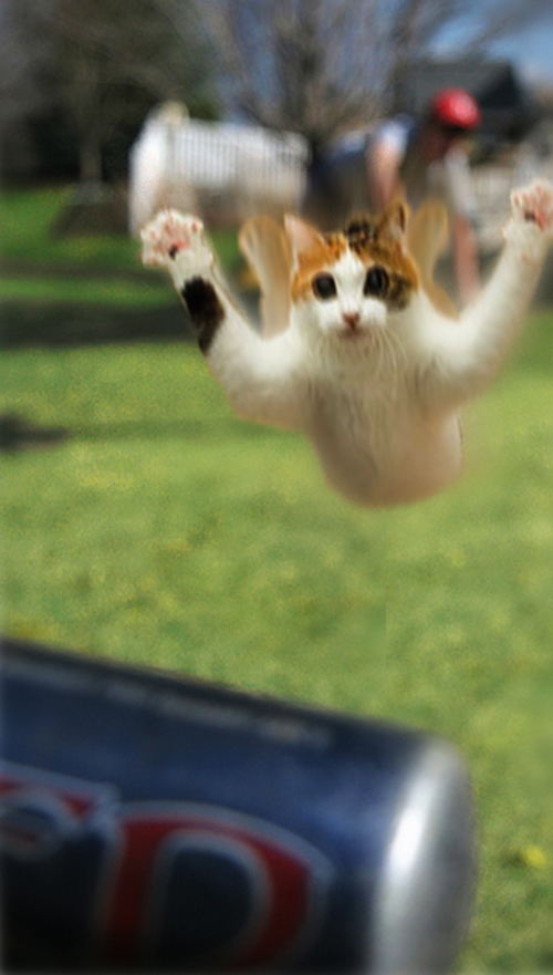 Diseño de Photoshop por worldtraveler666 para DesignCrowd (Community Contests) | Diseño #8995226