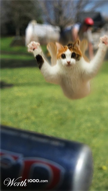 Photoshop Design by worldtraveler666