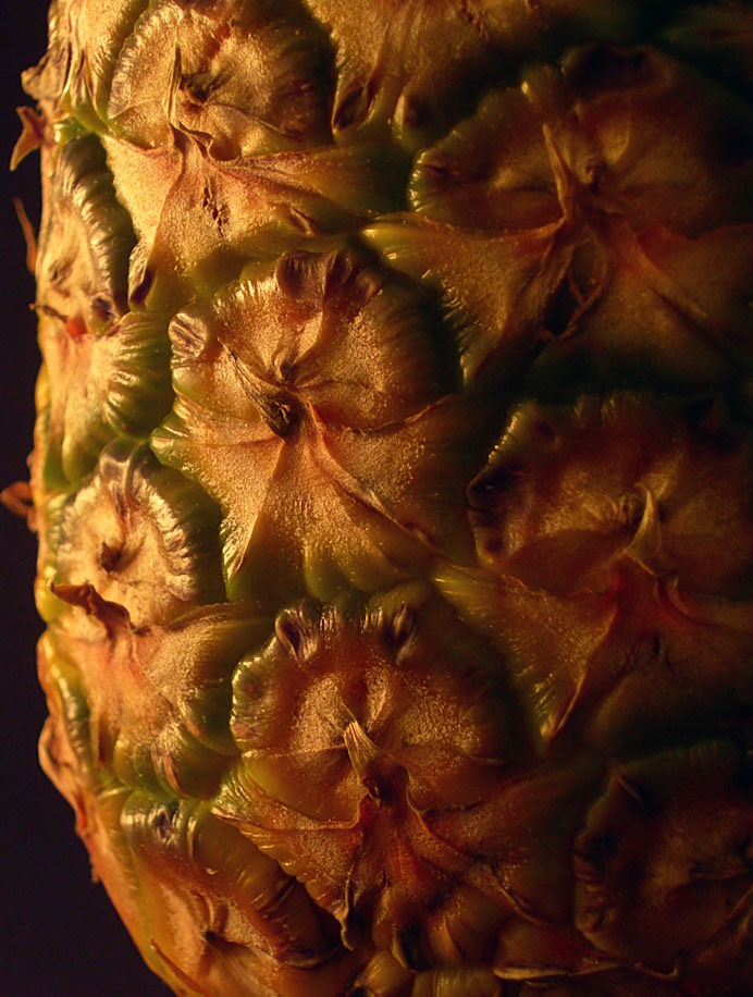 Fotografie von Isabella2006 für DesignCrowd (Community Contests) | Design #8995022