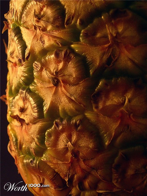 Photography by Isabella2006