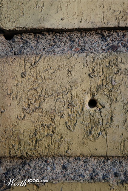 Photography by Miette