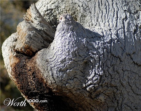 Photography by ClickChick