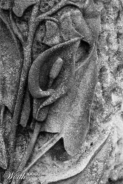 Photography by corgijump