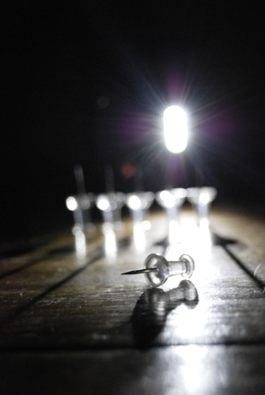 Photography by liberty2007crusader for DesignCrowd (Community Contests) | Design #9000186