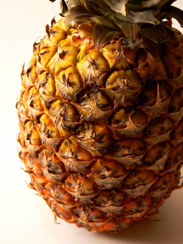 Photography by Megistus for DesignCrowd (Community Contests) | Design #8995042