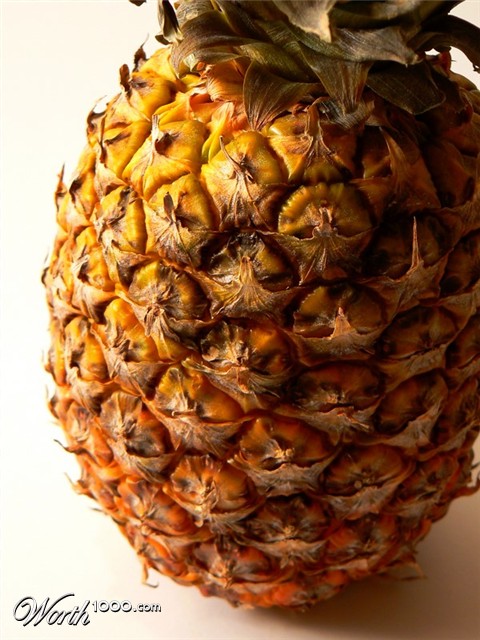 Photography by Megistus