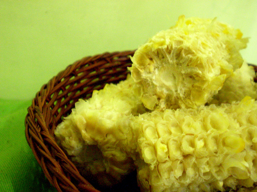 Fotografía por Succexxyy para DesignCrowd (Community Contests) | Diseño #8995070