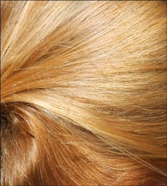 Fotografie von EyEars für DesignCrowd (Community Contests) | Design #8996264