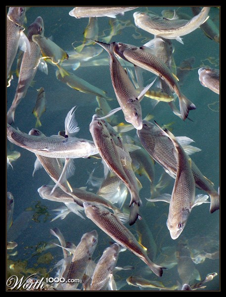 Photography by EyEars