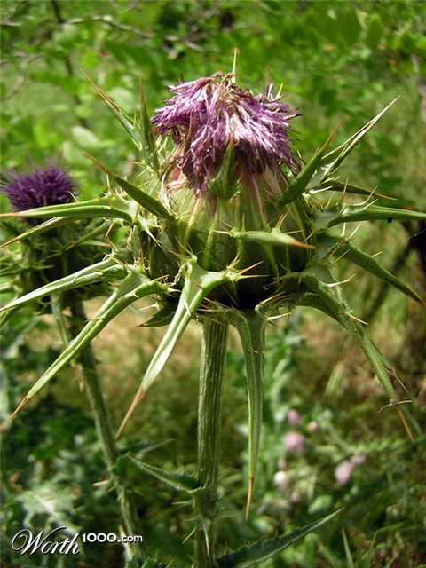 Photography by holdenzgz