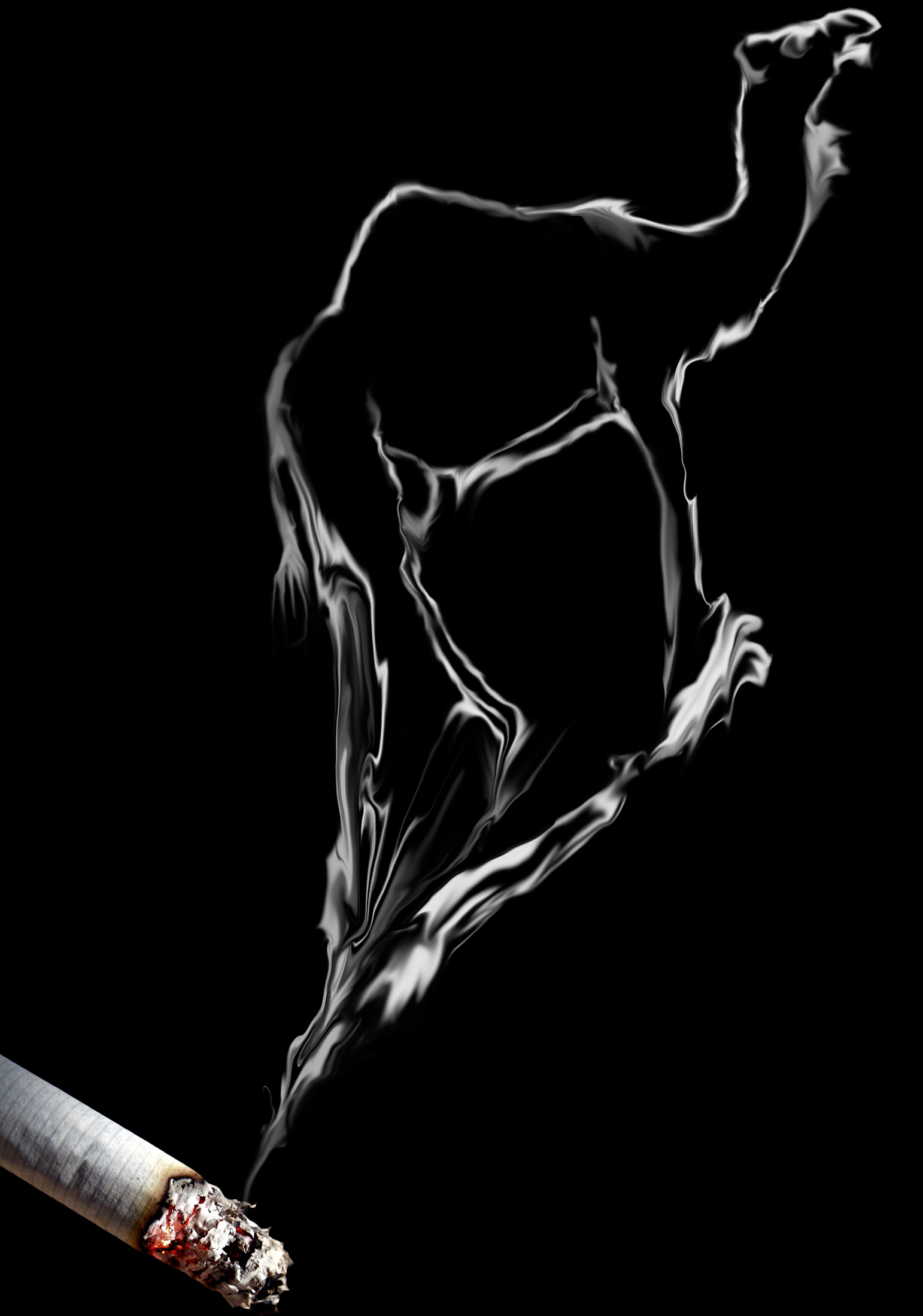 Photoshop Design by mofocm for DesignCrowd (Community Contests) | Design #8995453