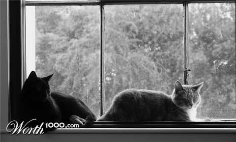 Photography by scotty2hotty