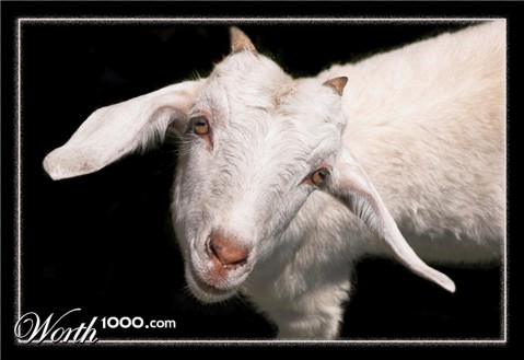 Photography by kimbomac