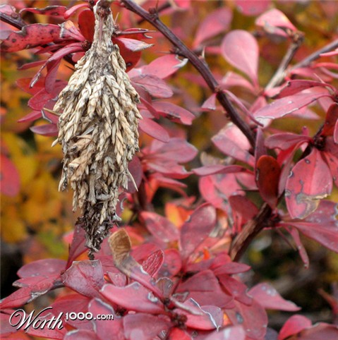 Photography by overblank5