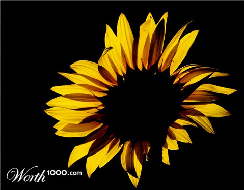 Photography by kimbomac