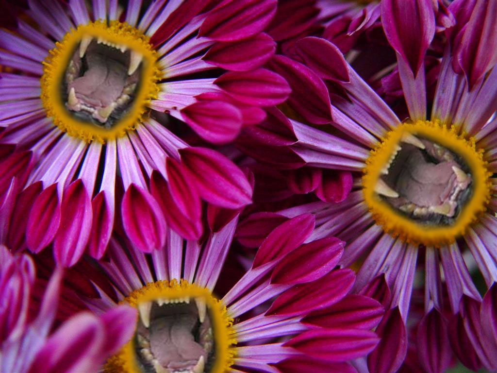 Photoshop Design by prawns for DesignCrowd (Community Contests) | Design #8995499