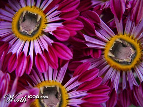 Photoshop Design by prawns