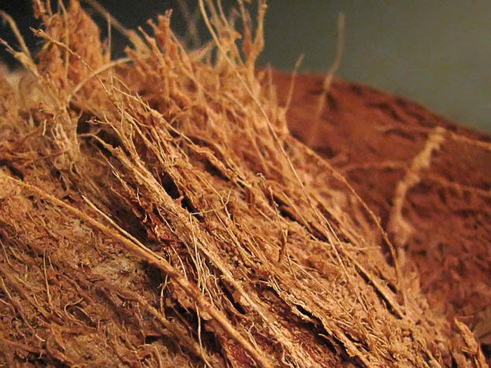 Photography by Mikeleus for DesignCrowd (Community Contests) | Design #8995057