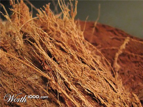 Photography by Mikeleus