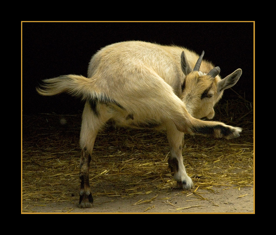 Photography by cshutt for DesignCrowd (Community Contests) | Design #8996088