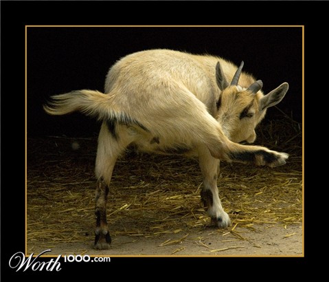 Photography by cshutt