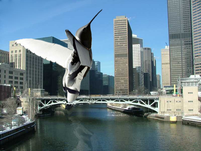 Photoshop Design by nukehead for DesignCrowd (Community Contests) | Design #8996962