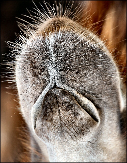 Photographie par Juicer pour DesignCrowd (Community Contests) | Design #8996288