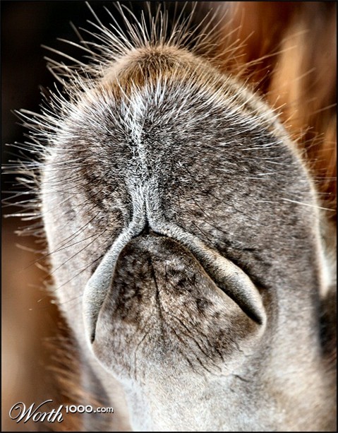 Photography by Juicer