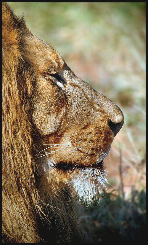 Photographie par Juicer pour DesignCrowd (Community Contests) | Design #8996102