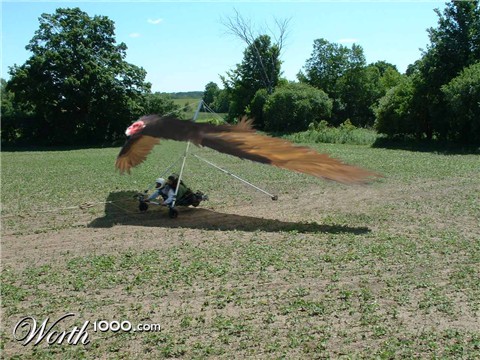 Photoshop Design by lorenzomofo