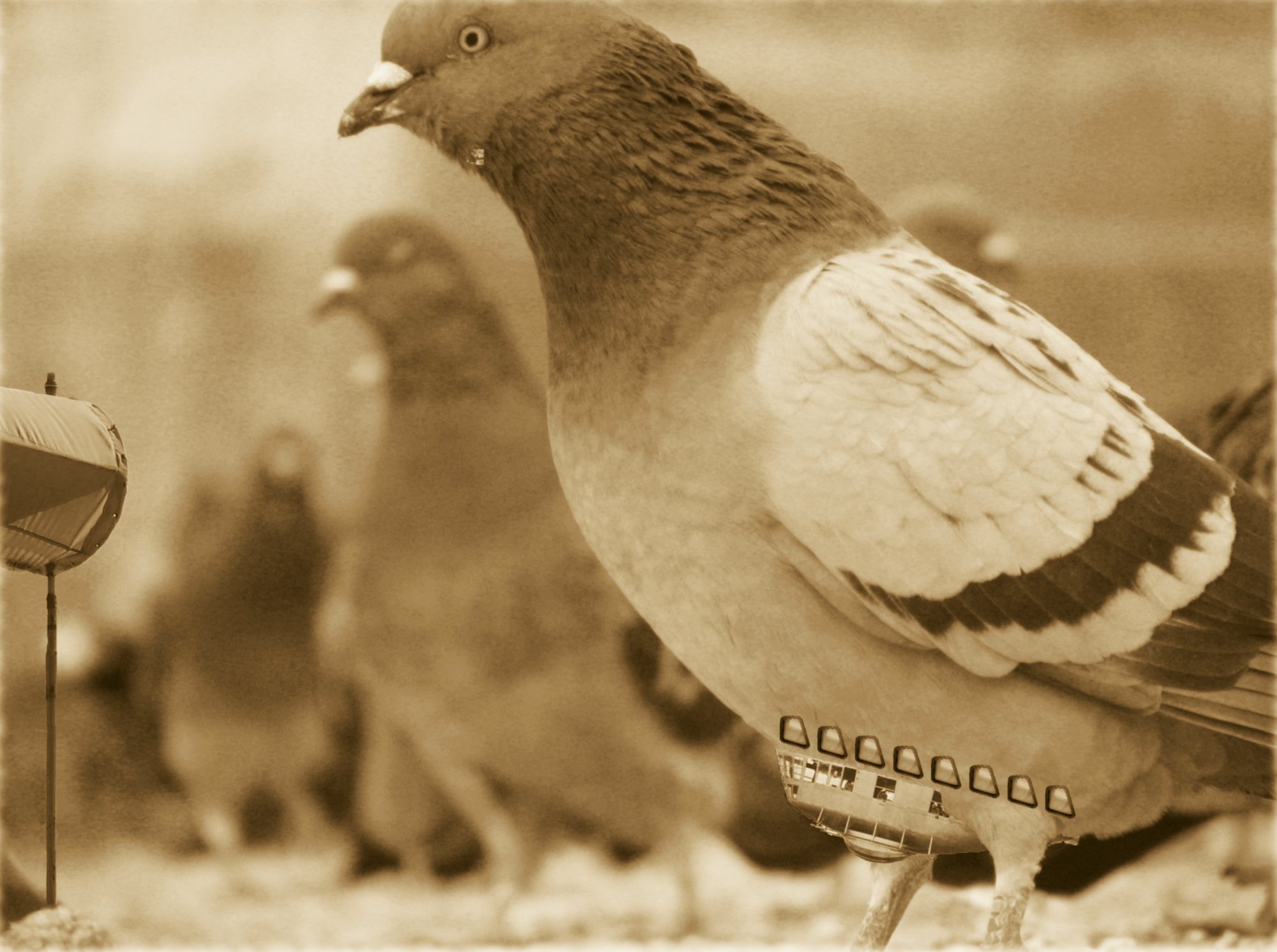 Photoshop Design by Hoppurr for DesignCrowd (Community Contests) | Design #8996983