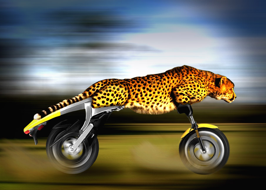 Photoshop-Design von iamzegatron für DesignCrowd (Community Contests) | Design #8996973