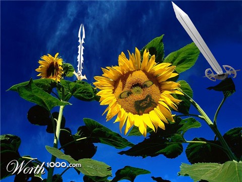 Photoshop Design by Lolitaevil