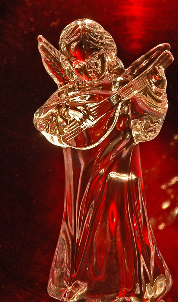 Photography by Lmorrow57 for DesignCrowd (Community Contests) | Design #9000299