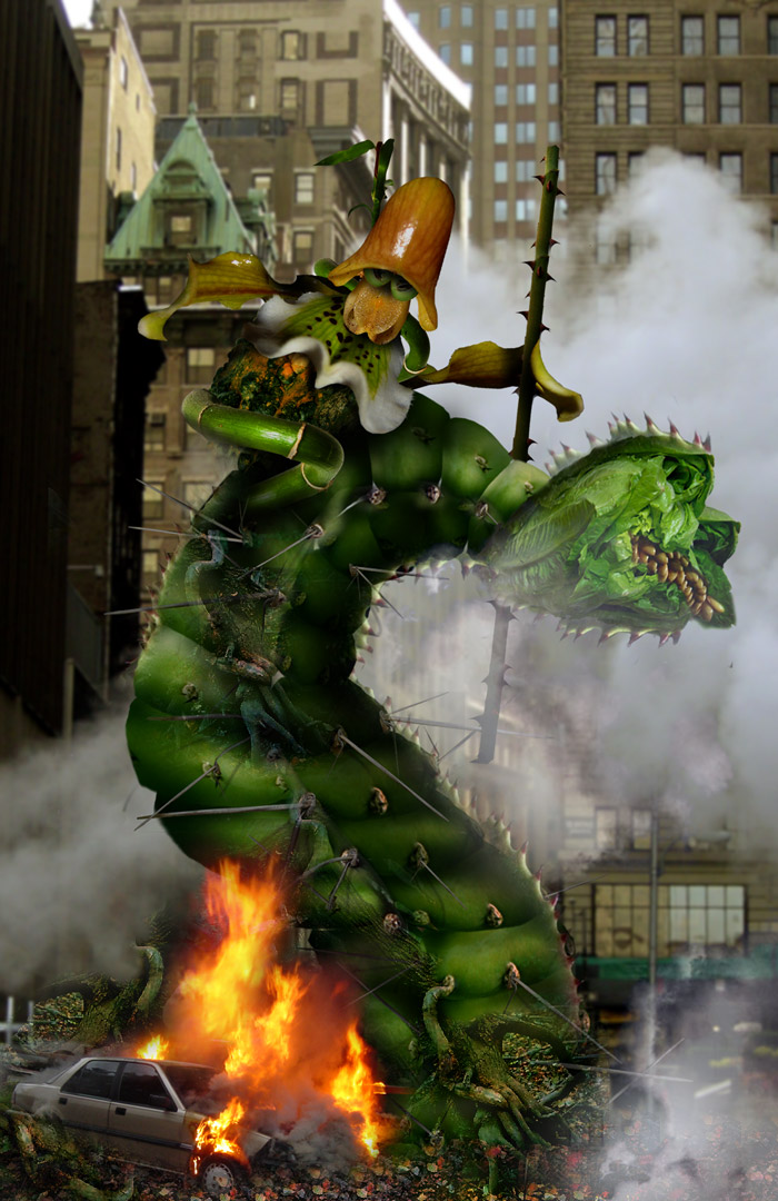 Photoshop Design by tombarreto for DesignCrowd (Community Contests) | Design #8995573