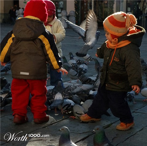 Photography by toscio