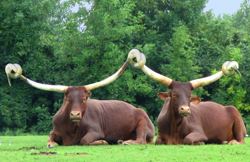 Design Photoshop par vytcheslav pour DesignCrowd (Community Contests) | Design #8994324