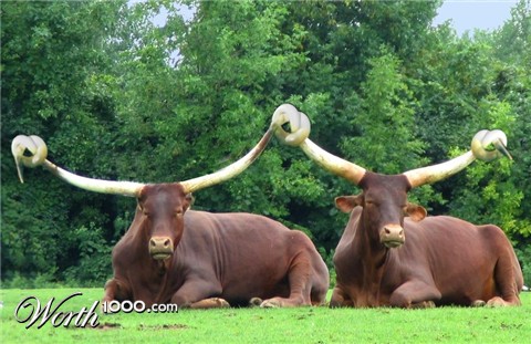 Photoshop Design by vytcheslav