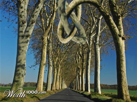 Photoshop Design by PhunneyBunney