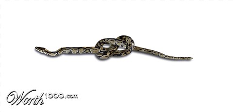 Photoshop Design by eskiss