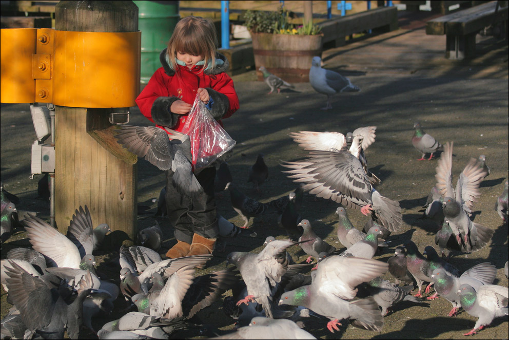 Photography by whlutz for DesignCrowd (Community Contests) | Design #8994822