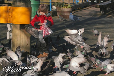 Photography by whlutz