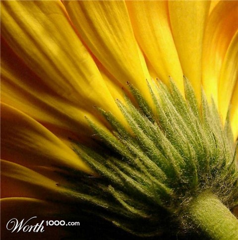 Photography by Berilu