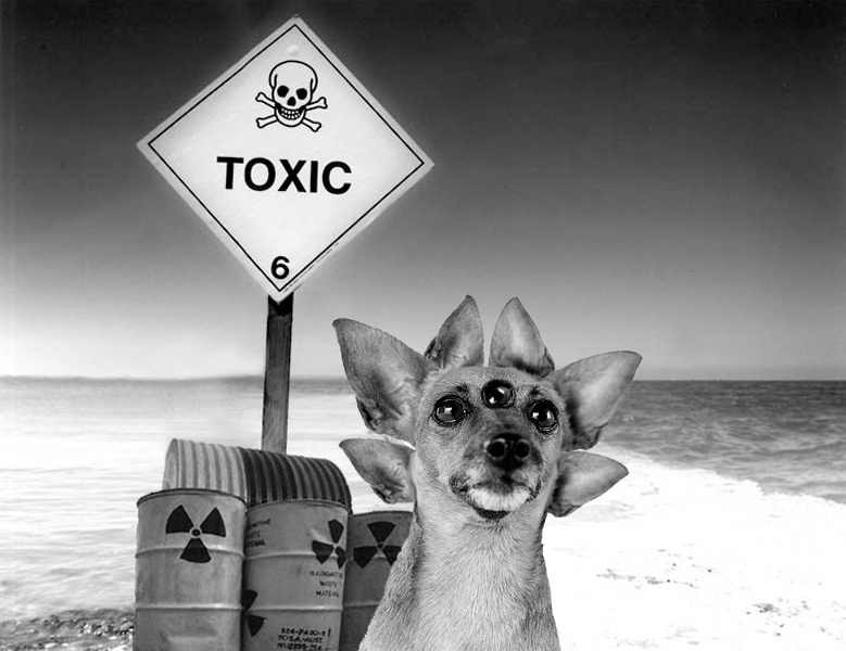 Photoshop Design by samfisher for DesignCrowd (Community Contests) | Design #8993366