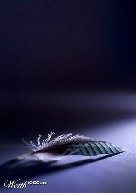 Photography by Marian